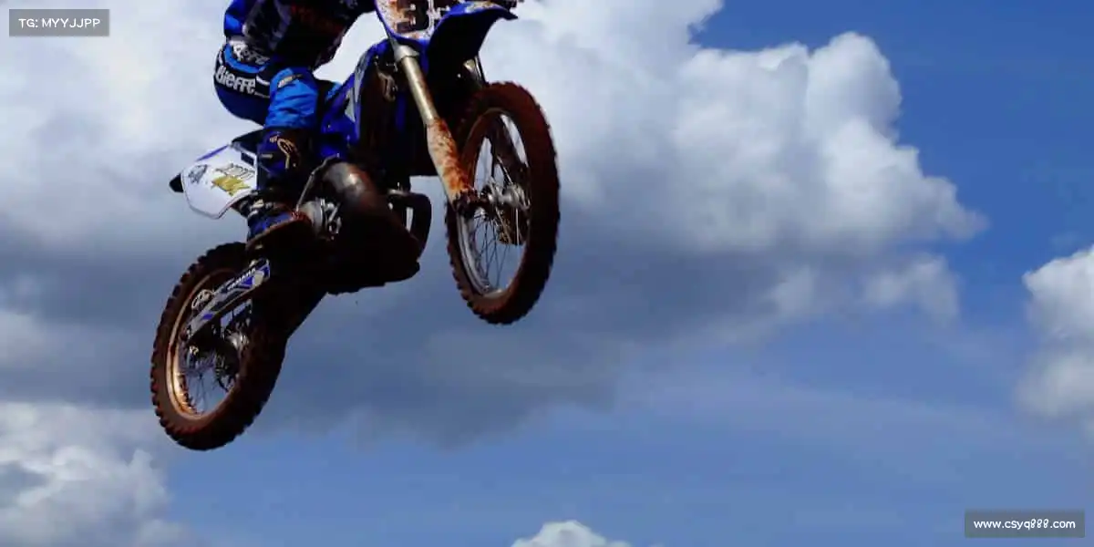 我们的品牌价值